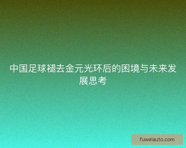 中国足球褪去金元光环后的困境与未来发展思考