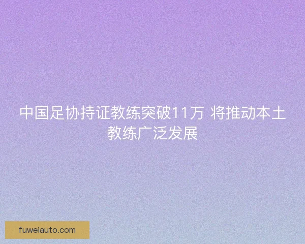 中国足协持证教练突破11万 将推动本土教练广泛发展